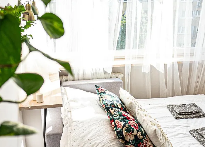 Center - Panska Daire