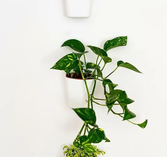 Center - Panska * 华沙